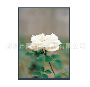LCD液晶屏出現(xiàn)閃屏怎么解決？
